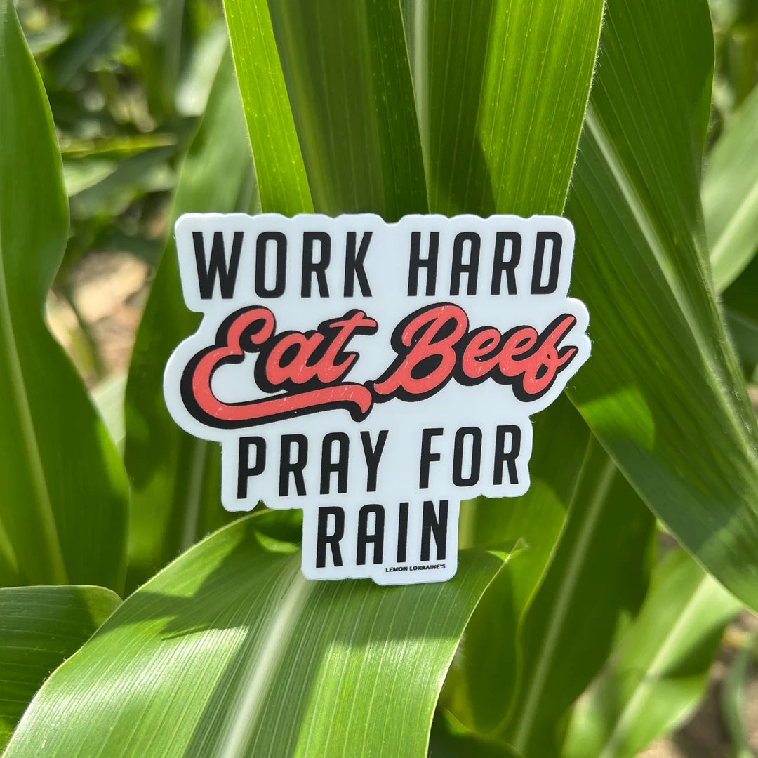 “Work Hard, Eat Beef, Pray For Rain Sticker”