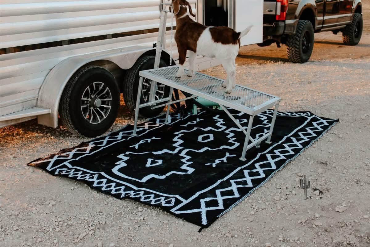 Punchy Outdoor Rugs PREORDER